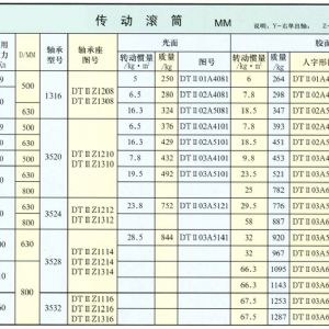 DTⅡ型傳動滾筒