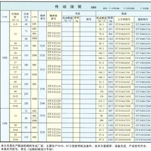 DTⅡ型傳動滾筒